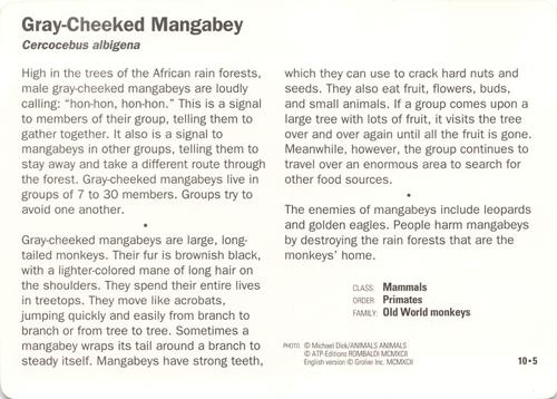 1991-95 Grolier Wildlife Adventure Cards #10.5 Gray-Cheeked Mangabey Back