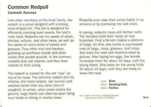 1991-95 Grolier Wildlife Adventure Cards #18.9 Common Redpoll Back