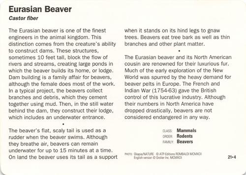 1991-95 Grolier Wildlife Adventure Cards #21.4 Eurasian Beaver Back