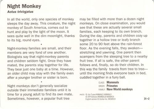 1991-95 Grolier Wildlife Adventure Cards #31.2 Night Monkey Back