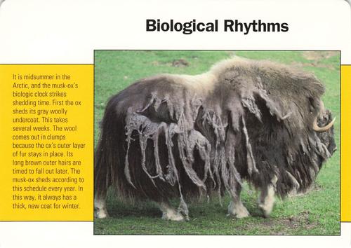 1991-95 Grolier Wildlife Adventure Cards #32.20 Biological Rhythms Front