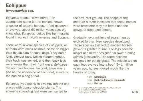1991-95 Grolier Wildlife Adventure Cards #53.19 Eohippus Back