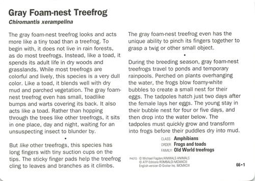 1991-95 Grolier Wildlife Adventure Cards #66.1 Gray Foam-nest Treefrog Back