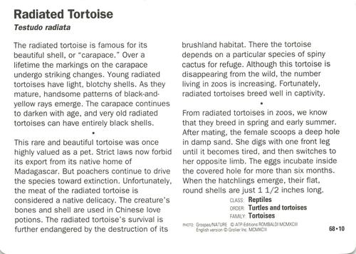 1991-95 Grolier Wildlife Adventure Cards #68.10 Radiated Tortoise Back