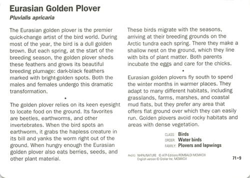 1991-95 Grolier Wildlife Adventure Cards #71.9 Eurasian Golden Plover Back