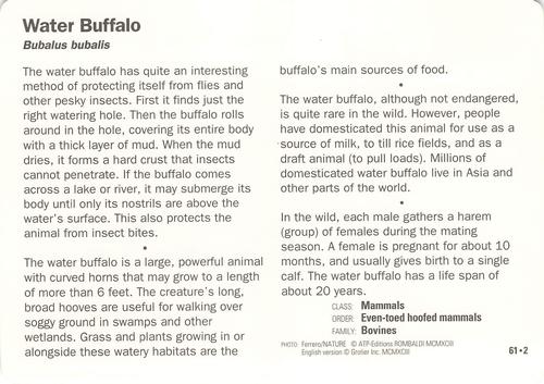 1991-95 Grolier Wildlife Adventure Cards #61.2 Water Buffalo Back