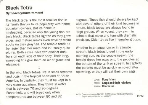 1991-95 Grolier Wildlife Adventure Cards #94.13 Black Tetra Back