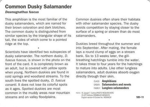 1991-95 Grolier Wildlife Adventure Cards #109.11 Common Dusky Salamander Back