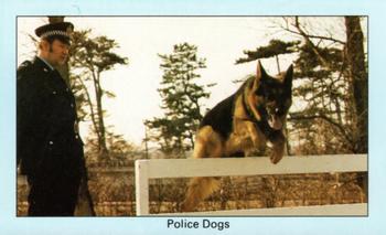 1990 South Wales Constabulary Cop-A-Cards #10 Police Dogs Front