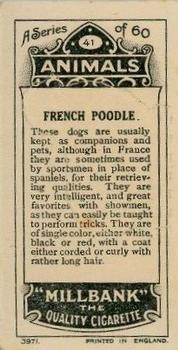 1916 Imperial Tobacco Co. of Canada (ITC) A Series of Animals #41 French Poodle Back