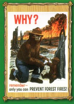 1996 Dart Smokey Bear #20 Smokey Bear Front