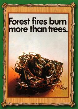 1996 Dart Smokey Bear #42 Forest Fires Burn More Than Trees Front