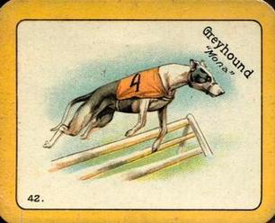 1926 Carreras The Grayhound Racing Game (Large) #42 Greyhound Front