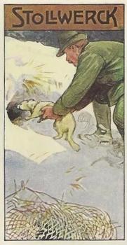 1910 Stollwerck Album 11 Gruppe 455 Predators and Monkeys #1 Frettchen Front