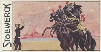 1910 Stollwerck Album 11 Gruppe 458 Pferde I #6 Pferde Front