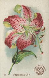 1895 Arm & Hammer Beautiful Flowers (J16 Small) #9 Japanese Lily Front