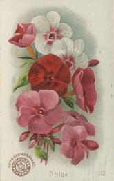 1895 Arm & Hammer Beautiful Flowers (J16 Small) #32 Phlox Front