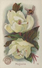 1895 Arm & Hammer Beautiful Flowers (J16 Small) #42 Magnolia Front