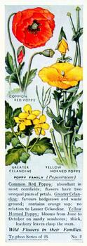 1937 Ty-phoo Tea Wildflowers in their Families #2 Buttercup Front