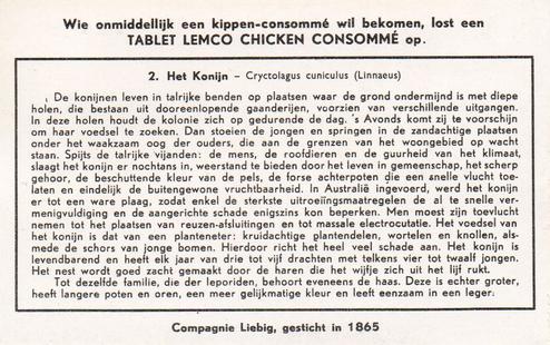 1956 Liebig De Knaagdieren (Rodents) (Dutch Text) (F1654, S1655) #2 Het Konijn - Cryctolagus cuniculus (Linnaeus) Back