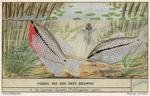 1954 Liebig Vissen, die een next bouwen (Fish and their habitat) (Dutch Text) (F1593, S1597) #4 De diamant Gurami (Trichogaster Leerii) Front
