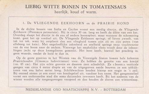 1954 Liebig/Oxo Uitheemse Knaagdieren (Unusual Rodents) (Dutch Text) (F1597, S1600) #1 De Vliegende Eekhoorn en de Prairie Hond Back