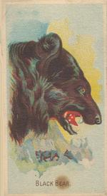 1920 Weber Animal Pictures Series A (D8) #NNO Black Bear Front