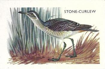 1959 Shell Project Cards; Series 3, Birds #125 Stone-Curlew Front