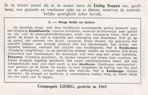 1950 Liebig Met Open Ogen op de Heide (Plant and Animal life on the Heath) (Dutch Text) (F1509, S1511) #2 Droge heide en duinen Back