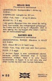 1969 Dandy Gum H Wild Animals (A) (Danish/English) #88 Sacred ibis Back