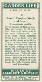 1930 Lambert & Butler Garden Life #19 Small Ermine Moth and Nest Back