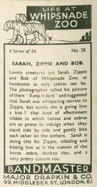 1934 Major Drapkin & Co. Life at Whipsnade Zoo #28 Sarah, Zippie and Bob Back