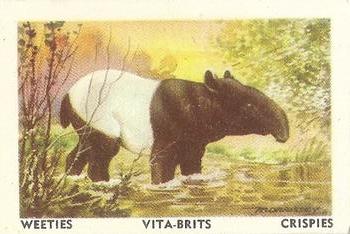 1958 Nabisco Animals of the World #1 Malayan Tapir Front