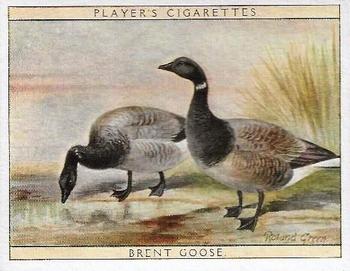 1928 Player's Game Birds and Wild Fowl (Large) #7 Brent Goose Front