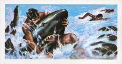 1967 Barratt Tarzan #17 Shark Menace Front