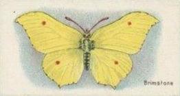 1925 William Gossage & Son Butterflies & Moths #3 Brimstone Butterfly Front