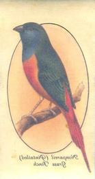1933 Player's Aviary and Cage Birds - Transfers #47 Nonpareil (Pintailed) Grass Finch Front