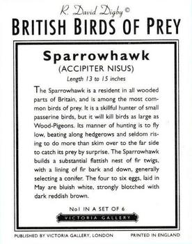 1996 Victoria Gallery British Birds of Prey Series 2 #1 Sparrowhawk Back