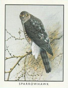 1996 Victoria Gallery British Birds of Prey Series 2 #1 Sparrowhawk Front