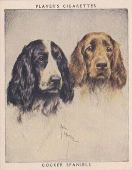 1955 Player's Dogs Pairs and Groups (Large) (Unissued) #17 Cocker Spaniels Front