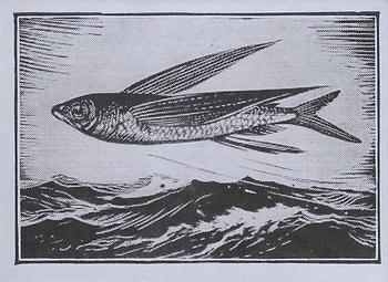 1953 Barratt Fastest On Earth #26 Flying Fish Front