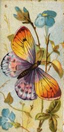 1888 Kinney Bros. Butterflies of the World Series 1 (N217-1) #8 Purple & Yellow Butterfly on Blue Flowers Front