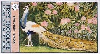 1912 Fry's Birds and Poultry #35 Cross-Bred Peacock Front