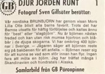1971 GB Päronsplitt Djur Jorden Runt #1 Brunbjörn Back