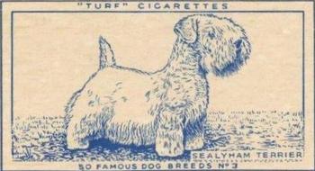 1952 Turf Famous Dogs Breeds #3 Sealyham Terrier Front