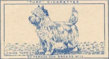 1952 Turf Famous Dogs Breeds #11 Cairn Terrier Front