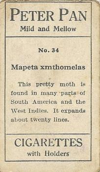 1910 Australian Butterflies and Moths (Names in Lower Case Letters) #34 Mapeta xmthomelas Back