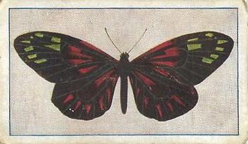 1910 Australian Butterflies and Moths (Names in Lower Case Letters) #59 Heliconius erato Front
