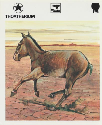 1981 Weekly Reader Prehistoric Life #0454-03 Thoatherium Front