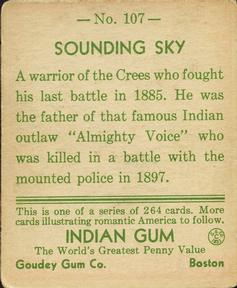 1933-40 Goudey Indian Gum (R73) #107 Sounding Sky Back
